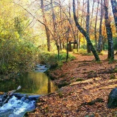 Casa La Vega Pensionat El Bosque Eksteriør billede